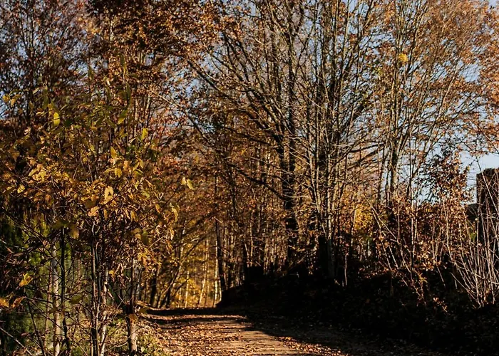 Nad Jeziorem Bogaczewo *